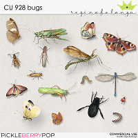 CU 928 BUGS