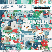 Build A Friend Kit