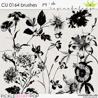 CU 0163 BRUSHES 