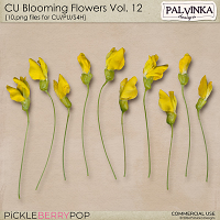 CU Blooming Flowers 12