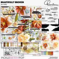 Beautifully broken - bundle