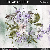 Prime Of Life~ art brushes 