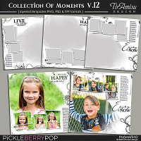 Collection Of Moments Templates vol.12 ~ June 
