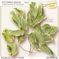 CU Dried Plants Vol.01 (Jasmin-Olya Designs)