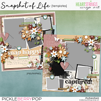 Snapshot of Life Templates