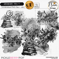 Brushes VOL11 - CU - by Neia Scraps