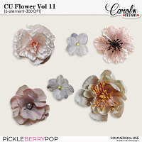 CU Flower-Vol 11