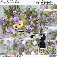 Moments like this Bundle by et designs