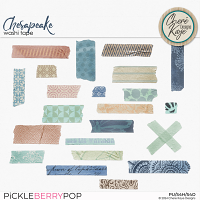 Chesapeake Washi Tape 