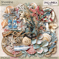 Shoreline Elements