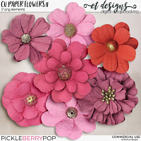 CU Paper Flowers vol.11