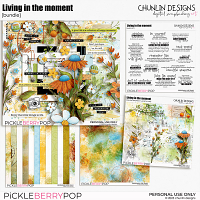 Living in the moment - bundle