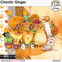 Chaotic Ginger