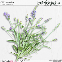 CU Lavender