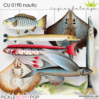 CU 0190 NAUTIC