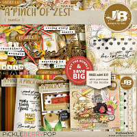 A Pinch Of Zest Bundle by JB Studio