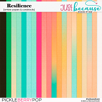 Resilience Ombre Papers & Cardstoclks by JB Studio