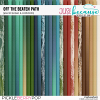 Off The Beaten Path Special Papers & Cardstocks by JB Studio