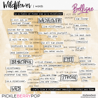 WILDFLOWER | words by Bellisae