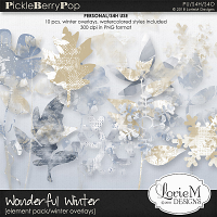 Wonderful Winter Overlays