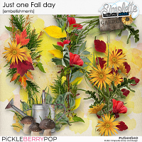 Just one Fall day (embellishments) by Simplette