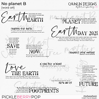 No planet B  - word art