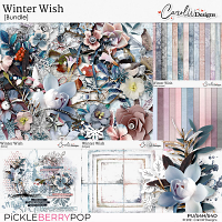 Winter Wish-Bundle