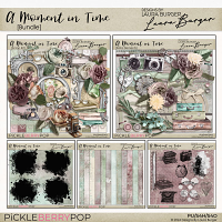 A Moment In Time Bundle - Designs by Laura Burger