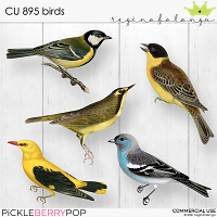 CU 895 BIRDS