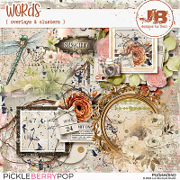 Words Overlays & Clusters by JB Studio