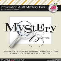 November 2022 Mystery Box 