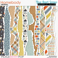 Homebody Torn Edges