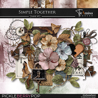 Simple Together ~ Basic Kit by TirAmisu design