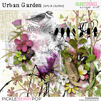 Urban Garden Arty & Clusters