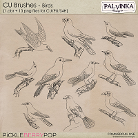 CU Brushes - Birds
