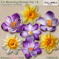 CU Blooming Flowers 14