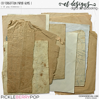 CU Forgotten Paper Gems 1 by et designs