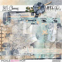 365 Chances {Mixed Media}