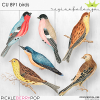 CU 891 BIRDS