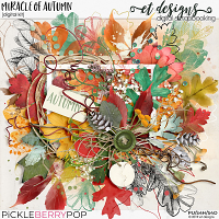 Miracle of Autumn