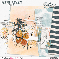 FRESH START | mini kit by Bellisae