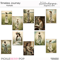 Timeless Journey Portraits