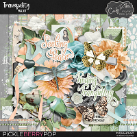 Tranquility [Kit] by Cindy Ritter