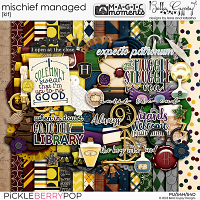 Magic Moments: Mischief Managed Kit