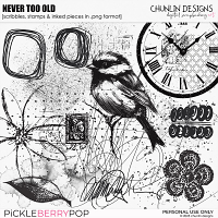 Never too old - scribbles, stamps & inked pieces in .png format 