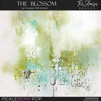 The Blossom ~ art transfers  