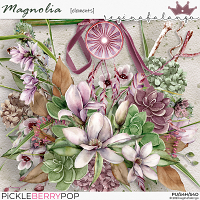 MAGNOLIA ELEMENTS