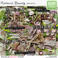 Nature's Beauty Elements