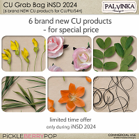 CU Grab Bag iNSD 2024