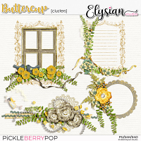 Buttercup : Clusters